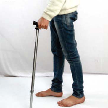 Walking Stick Regular